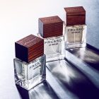 Car perfume FRESSO Magnetic Style (50 ml)